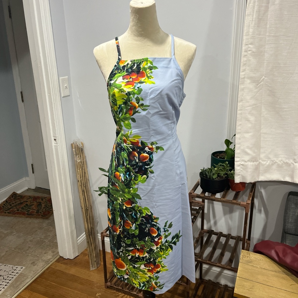 Anthropologie Orange Grove Print Women's Dress